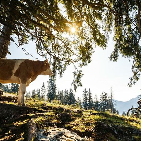 Ferienwohnung Schifterhof Ruhpolding Kültér fotó